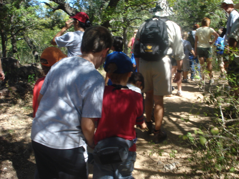 DSC03804 - Copy.JPG